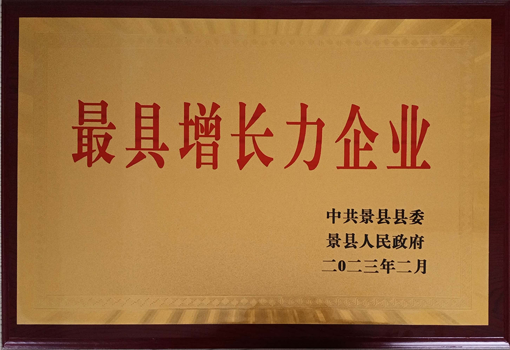 最具增长力企业证书